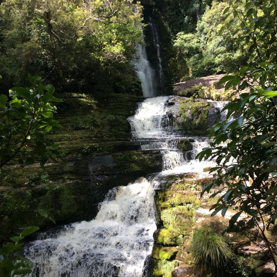 Catlins Retreat B & B Owaka Buitenkant foto