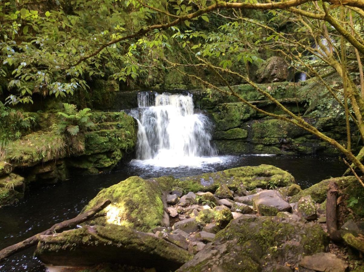 Catlins Retreat B & B Owaka Buitenkant foto